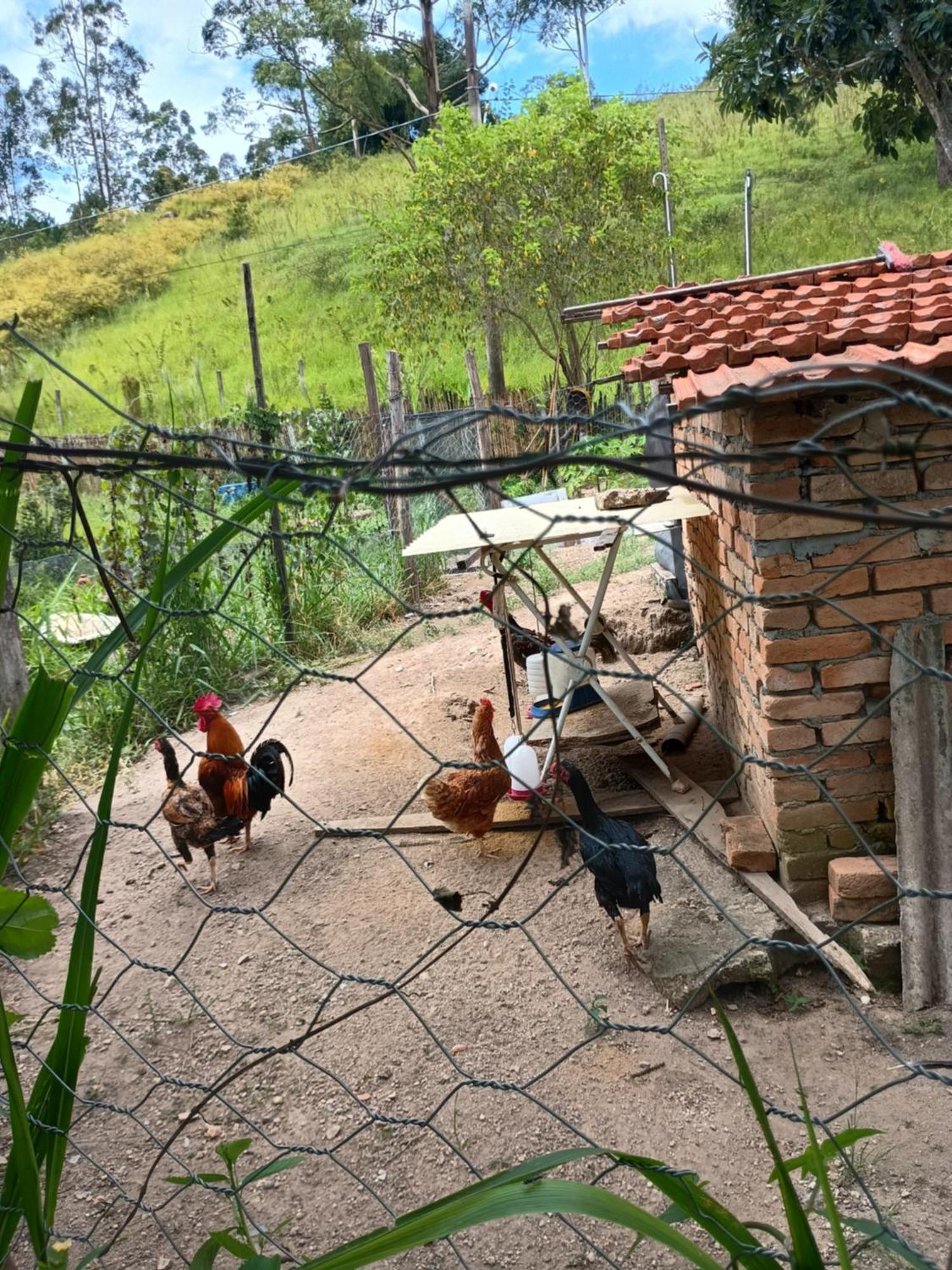 Cantinho Da Paz Villa São Roque Dış mekan fotoğraf